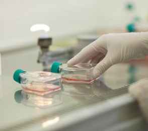 Пансионат «Урал», фото 15