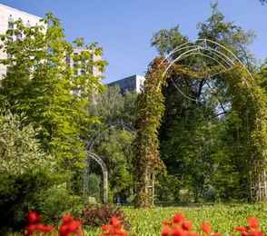 Санаторий «Зеленая роща», фото 18