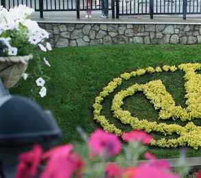 Санаторий «Алтай-West», фото 2