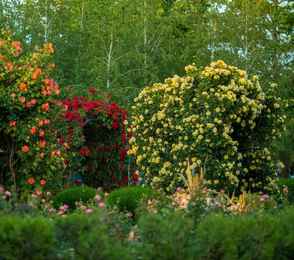 Санаторий «Сакрополь», фото 19