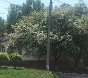 Курорт «Ангара», фото 26