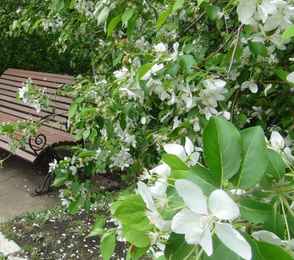 Курорт «Ангара», фото 48