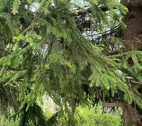 Санаторий «Красный холм», фото 10