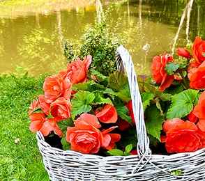 Санаторий «Красный холм», фото 16