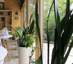 Оздоровительный комплекс «Дивный», фото 40