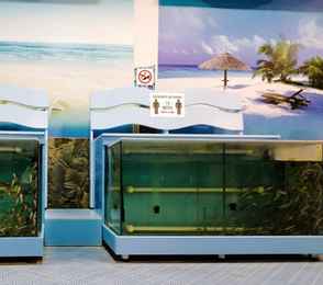 Resort Hotel & Spa «Беловодье», фото 53