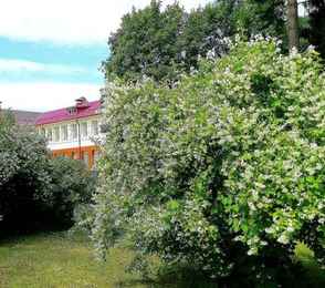 Санаторий имени Воровского, фото 45