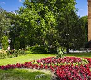 Санаторий «Лесной», фото 12