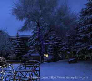 Санаторий «Лесной», фото 28