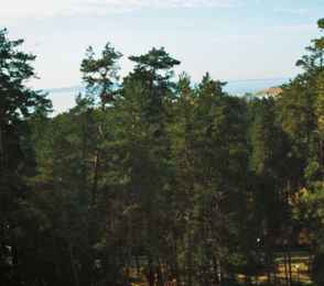 Санаторий «Надежда», фото 20