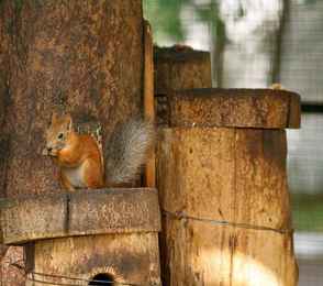 Санаторий «Васильевский», фото 76