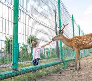Санаторий «Бакирово», фото 42