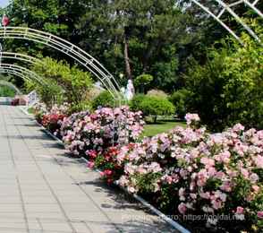 Санаторий «Голубая даль», фото 12