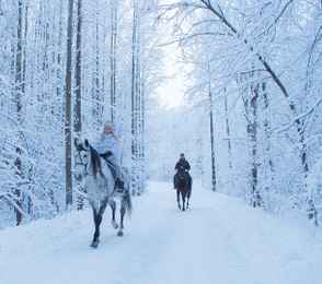 Санаторий «Автомобилист», фото 26