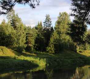 Санаторий «Сосновый бор», фото 28