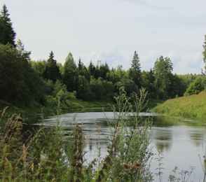 Санаторий «Сосновый бор», фото 62