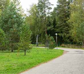 Санаторий «Сосновый бор», фото 64