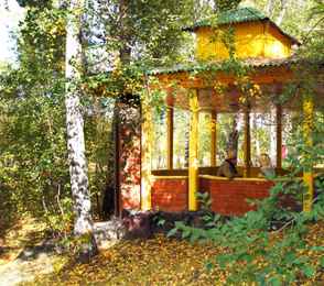 Санаторий «Сосновый бор», фото 4