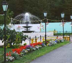 Санаторий «Сосновый бор», фото 15