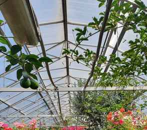 Санаторий «Орбита-2», фото 35