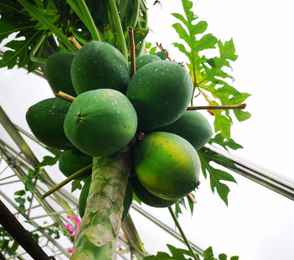 Санаторий «Орбита-2», фото 37