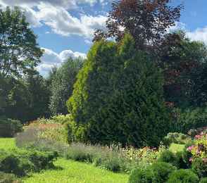 Санаторий «Орбита-2», фото 258