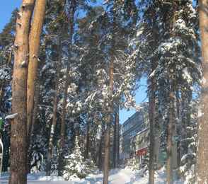 Санаторий «Сосновый бор», фото 22