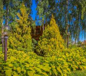 Санаторий «Барнаульский», фото 8