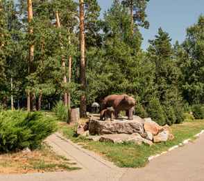 Санаторий «Барнаульский», фото 15