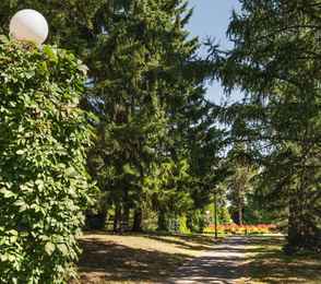 Санаторий «Барнаульский», фото 18