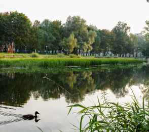 Курорт «Новая Истра», фото 38