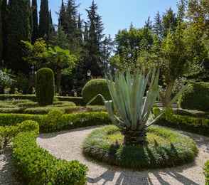 Санаторий «Знание», фото 53