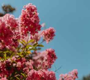 AMAKS Курорт «Орбита», фото 59