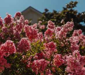 AMAKS Курорт «Орбита», фото 89