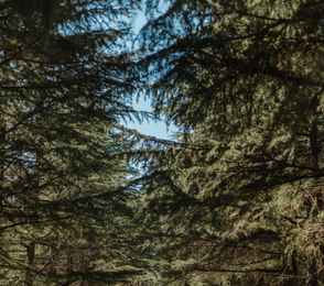 AMAKS Курорт «Орбита», фото 110