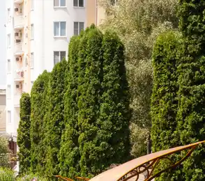 Санаторий для детей с родителями «Смена»