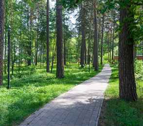 Клинический санаторий «Парус», фото 86
