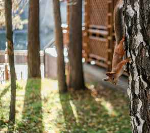 Санаторий «Рассвет», фото 54