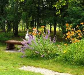 Санаторий-профилакторий «Коммунальник», фото 9