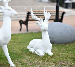 Курорт «Серноводск-Кавказский», фото 23