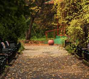 Кардиологический санаторий «Переделкино», фото 61