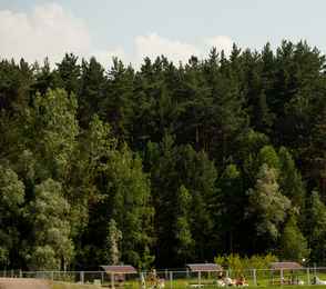 Санаторий «Сосновый бор», фото 54