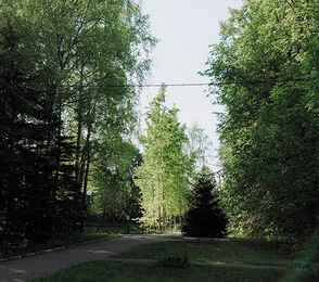 Санаторий «Сосны», фото 21