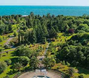 Санаторий «Самшитовая роща», фото 5