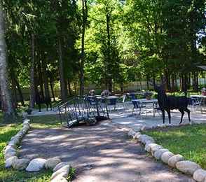 Комплекс отдыха «Бекасово», фото 57