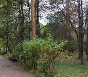 Санаторий «Курорт-Кисегач», фото 58