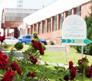 Спа-отель «Синдика», фото 13