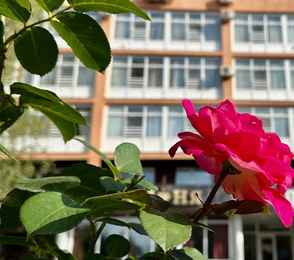 Санаторий «Солотча», фото 91