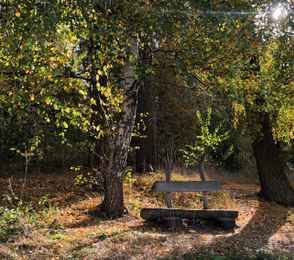 Санаторий «Солотча», фото 96