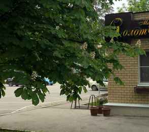 Санаторий «Солотча», фото 105